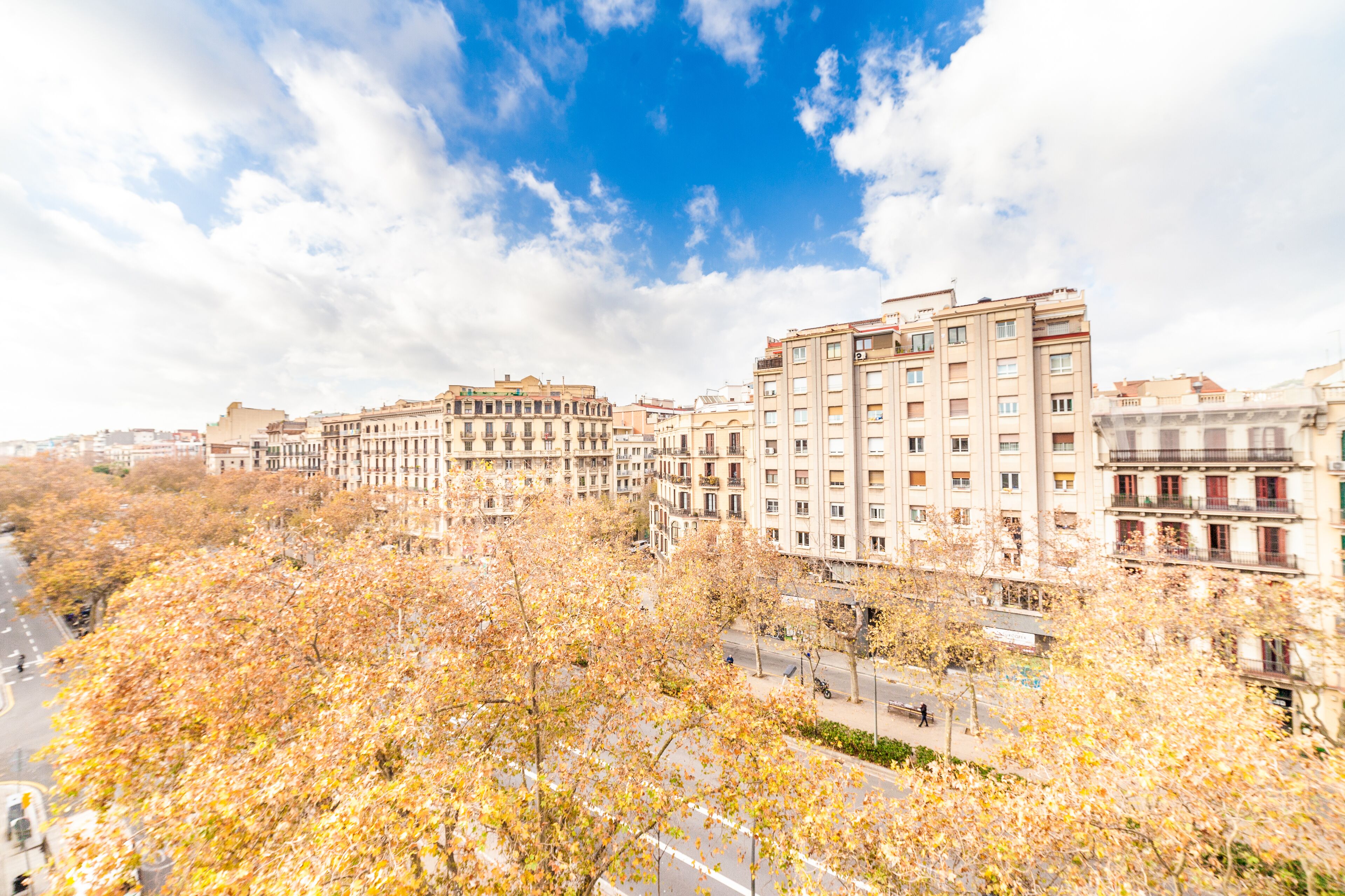 Un paisaje urbano con edificios altos, cielo despejado y follaje otoñal.