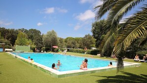 Una piscina rectangular rodeada de un césped cuidado, con una palmera en primer plano.