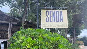 Un letrero que dice 'Senda Restaurant' con un arbusto verde y frondoso al frente.
