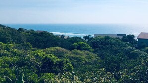 A coastal landscape with dense greenery and a view of the ocean. - Topo Das Arvores (Ponta d'Ouro)