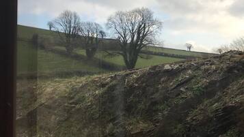 Pemandangan dari kamar