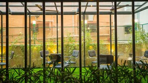 A room with large windows, chairs, and plants. - Oak Field Inn (Kanayannur)