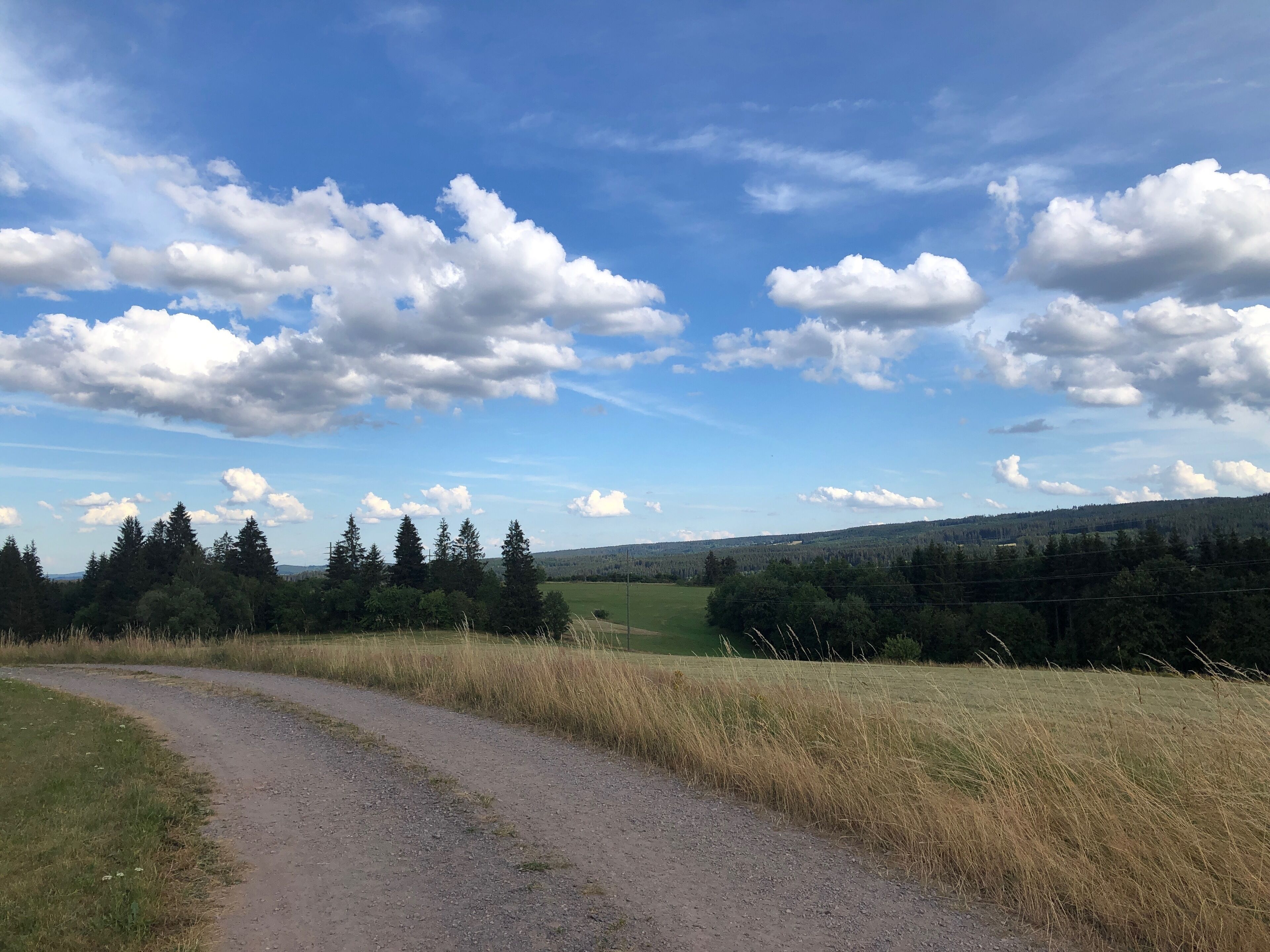 Un paisaje rural con un camino de grava, árboles frondosos y un cielo azul despejado con nubes.