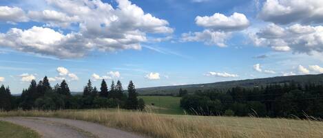 Un paisaje rural con un camino de grava, árboles frondosos y un cielo azul despejado con nubes.