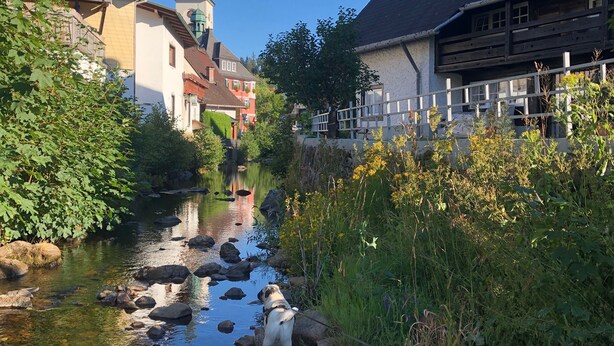 Een rivier met rotsen, omringd door begroeiing en gebouwen met traditionele architectuur.
