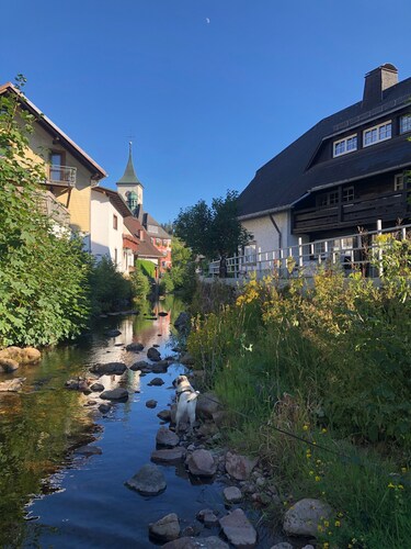 Schwarzwaldhaus Angelhof