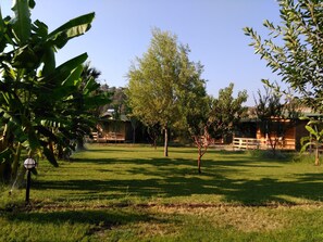 Property grounds - Yesil Bahce Bungalow - Ahsap Evler (Fethiye)