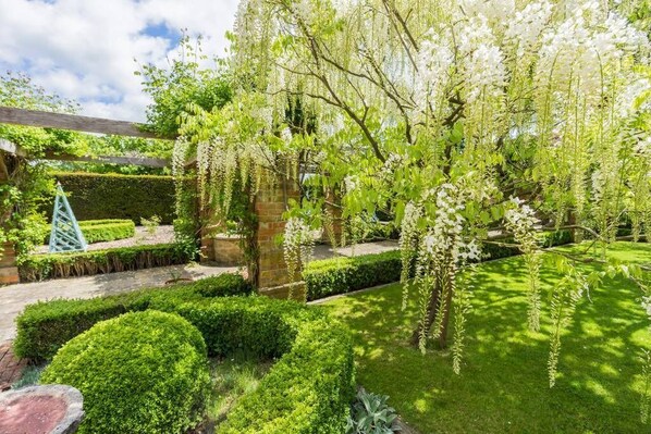 Property grounds - Pigsty Cottage - Luxurious apartment within orangery (Melksham)