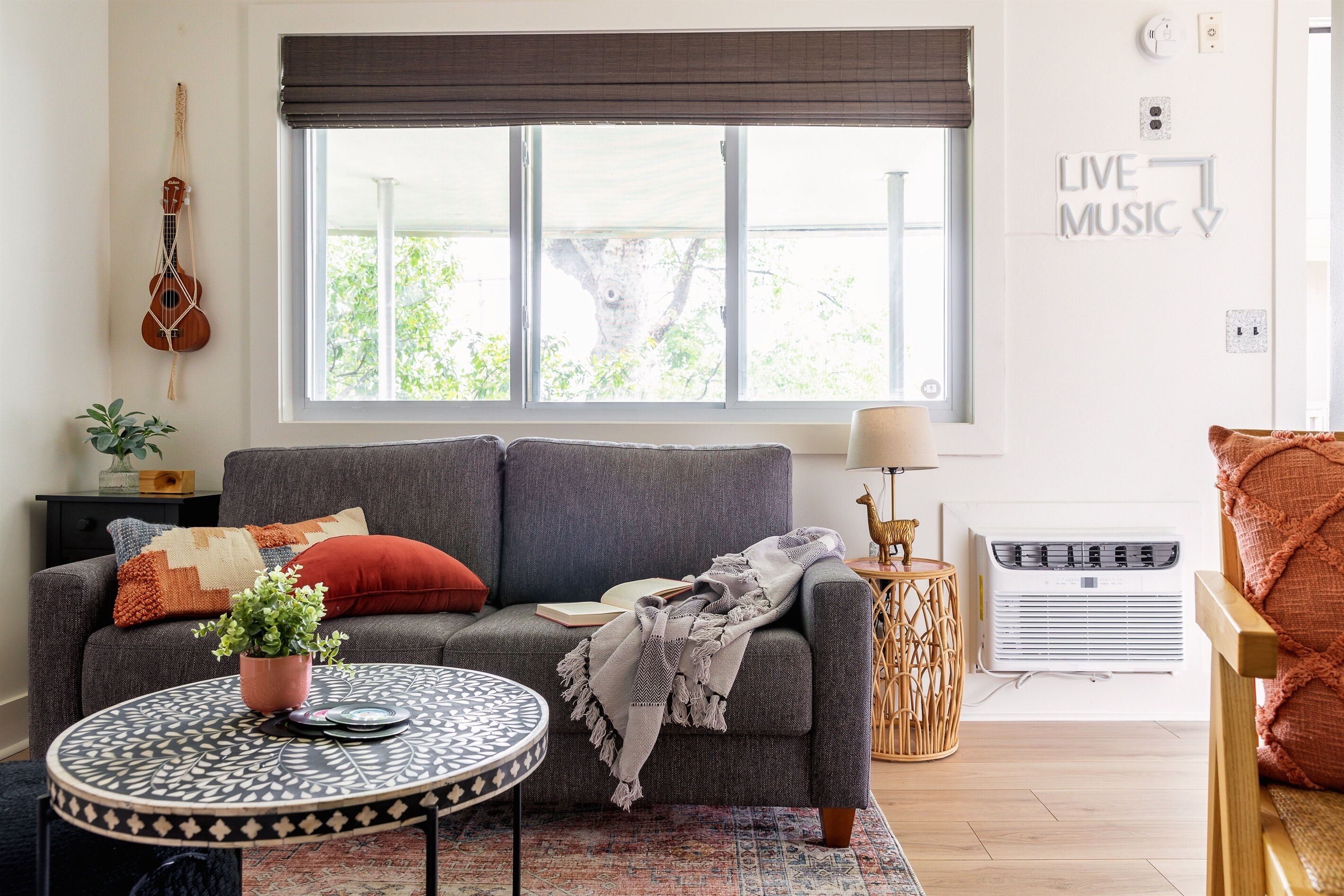 Smart TV, books, music library, video library