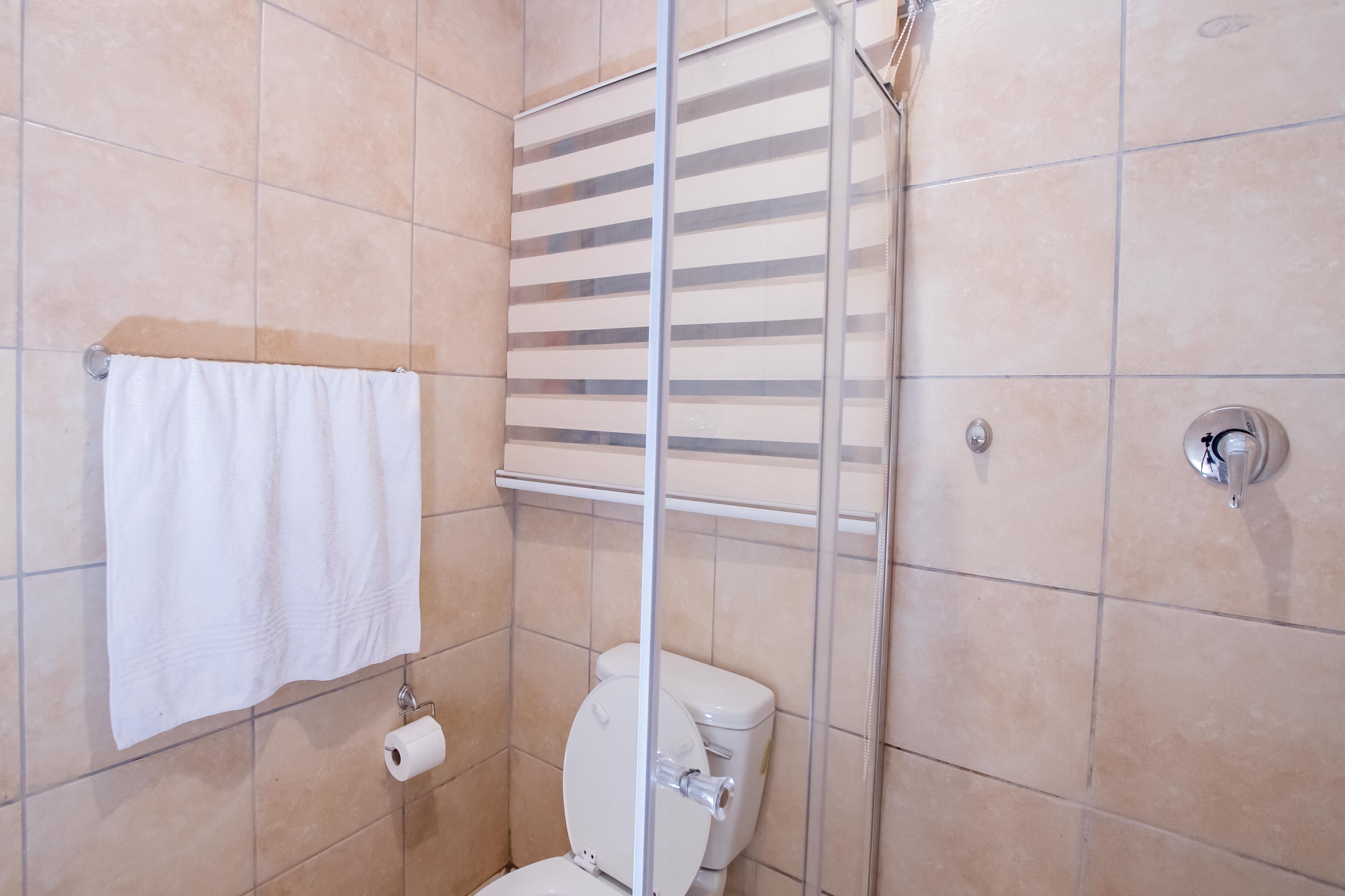 Prestigious Apartments Down Stairs | Bathroom | Shower, free toiletries, towels