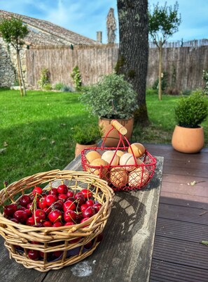 Property grounds - Maison de charme perigourdine / Charming house (Plaisance)