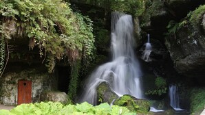 A waterfall cascading over moss-covered rocks, a wooden door, and lush green foliage. - Gaststätte & Pension Lichtenhainer Wasserfall (Sebnitz)