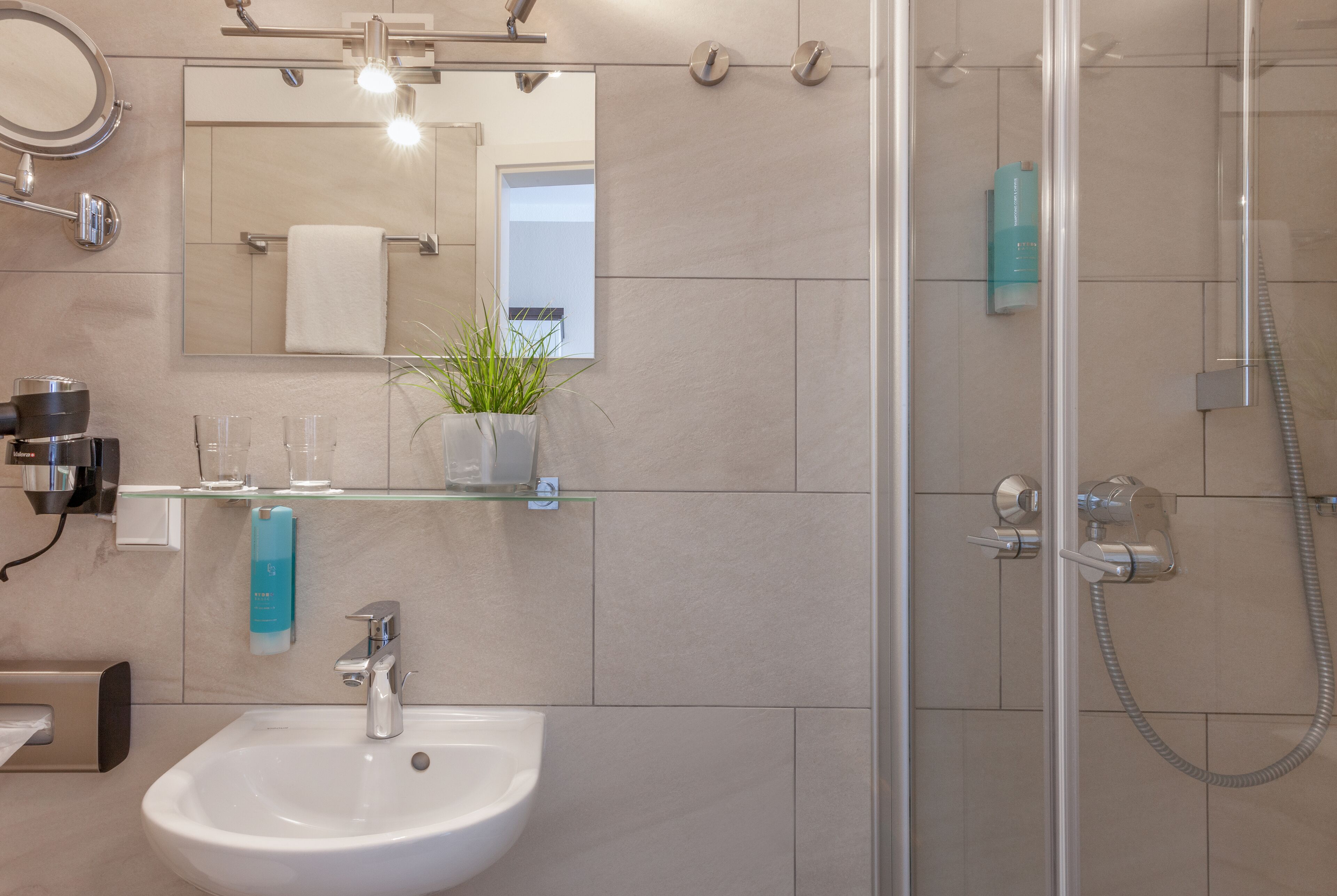 A modern bathroom with a glass shower enclosure, a sink with a mirror above it, and a potted plant on the countertop.