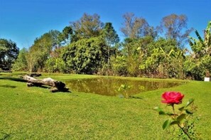 Hiking - Summit Lago Hotel (Lambari)