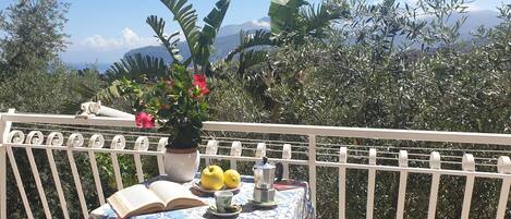 Studio Confort, cuisine | Terrasse/Patio