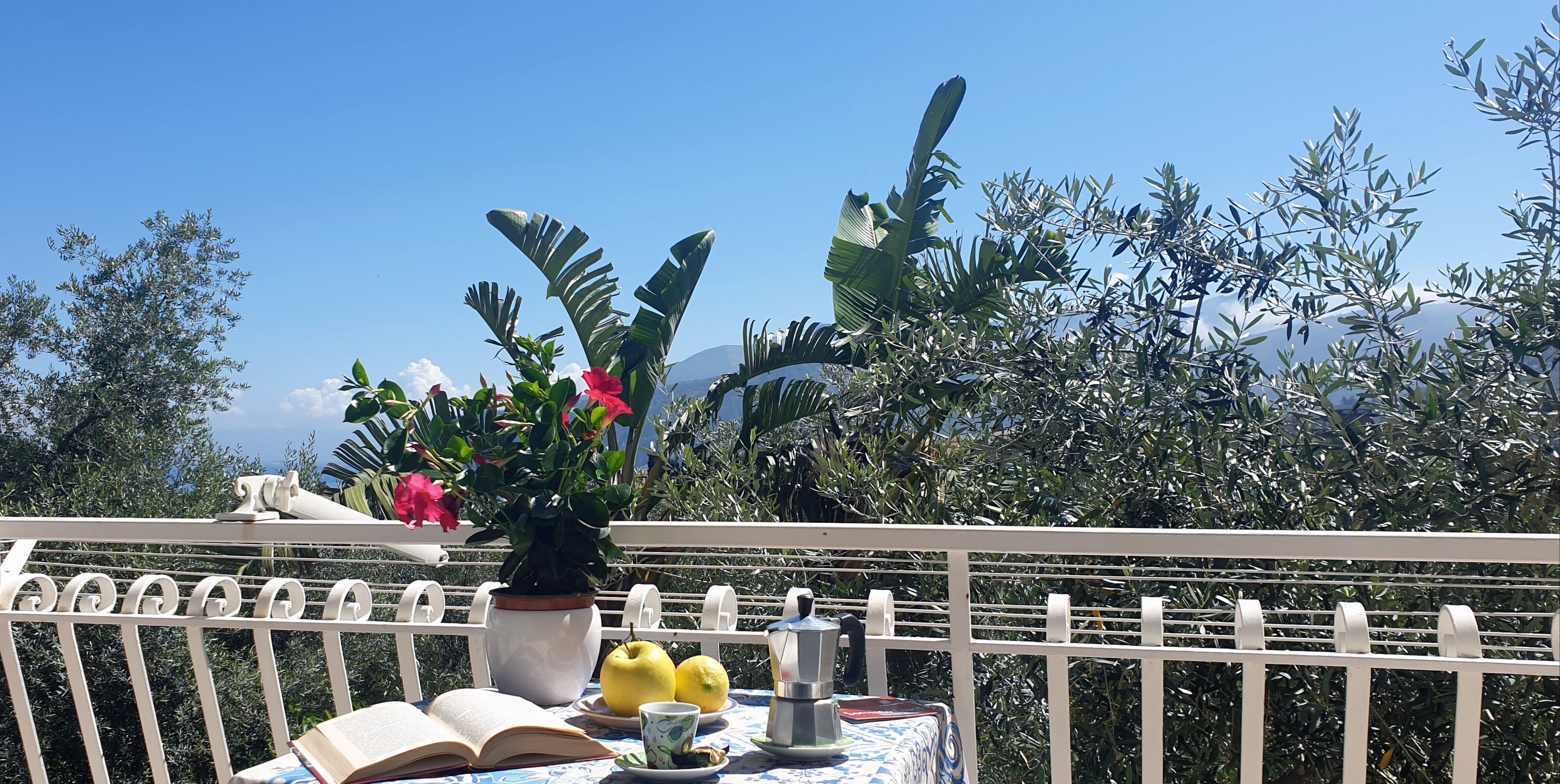 Comfort Studio, Kitchen | Terrace/patio