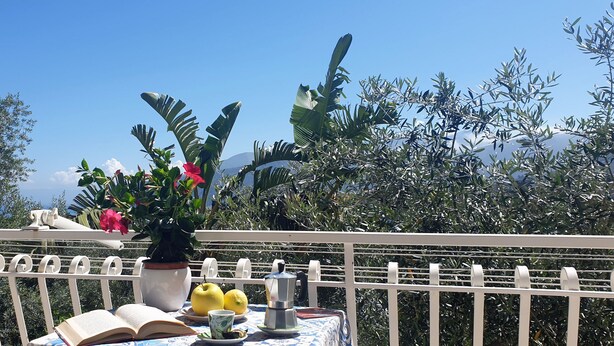 A balcony with a white railing, a potted plant with red flowers, a book, two lemons, and a cup on a table. - Casa Athena (Sorrento)