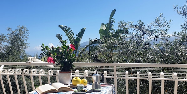 Studio Confort, cuisine | Terrasse/Patio