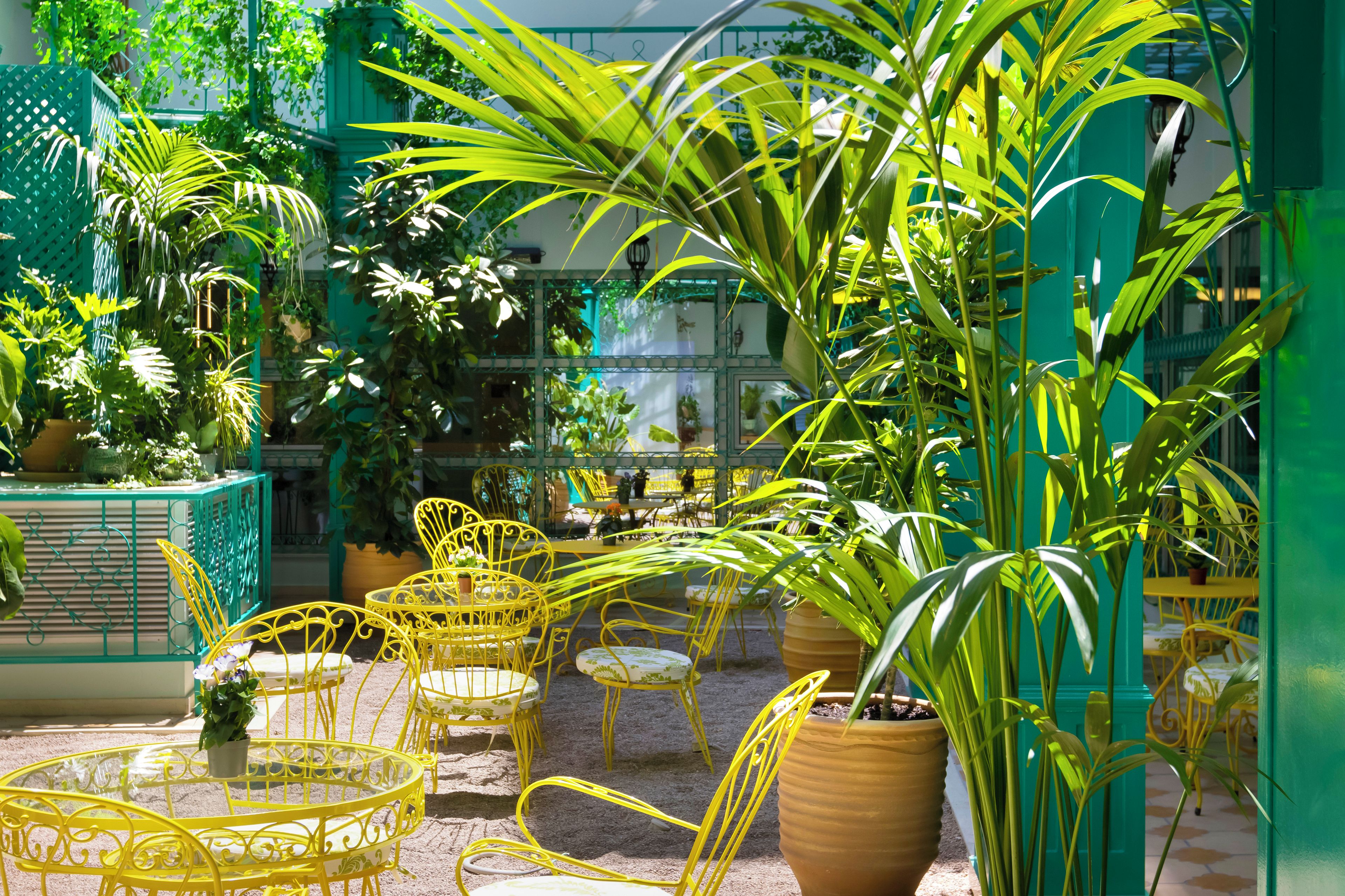 An outdoor seating area with yellow metal chairs and tables, surrounded by potted plants and greenery.