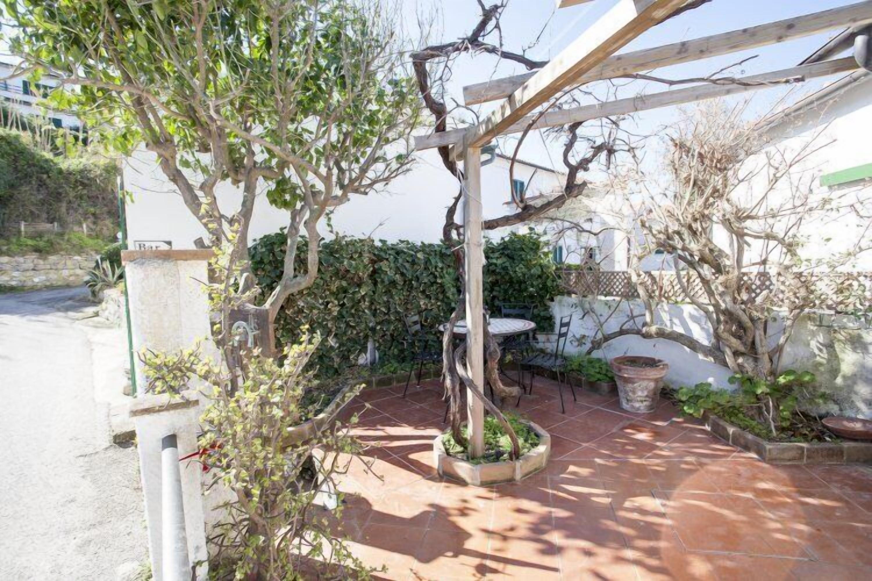 Photo - Hotel Viticcio