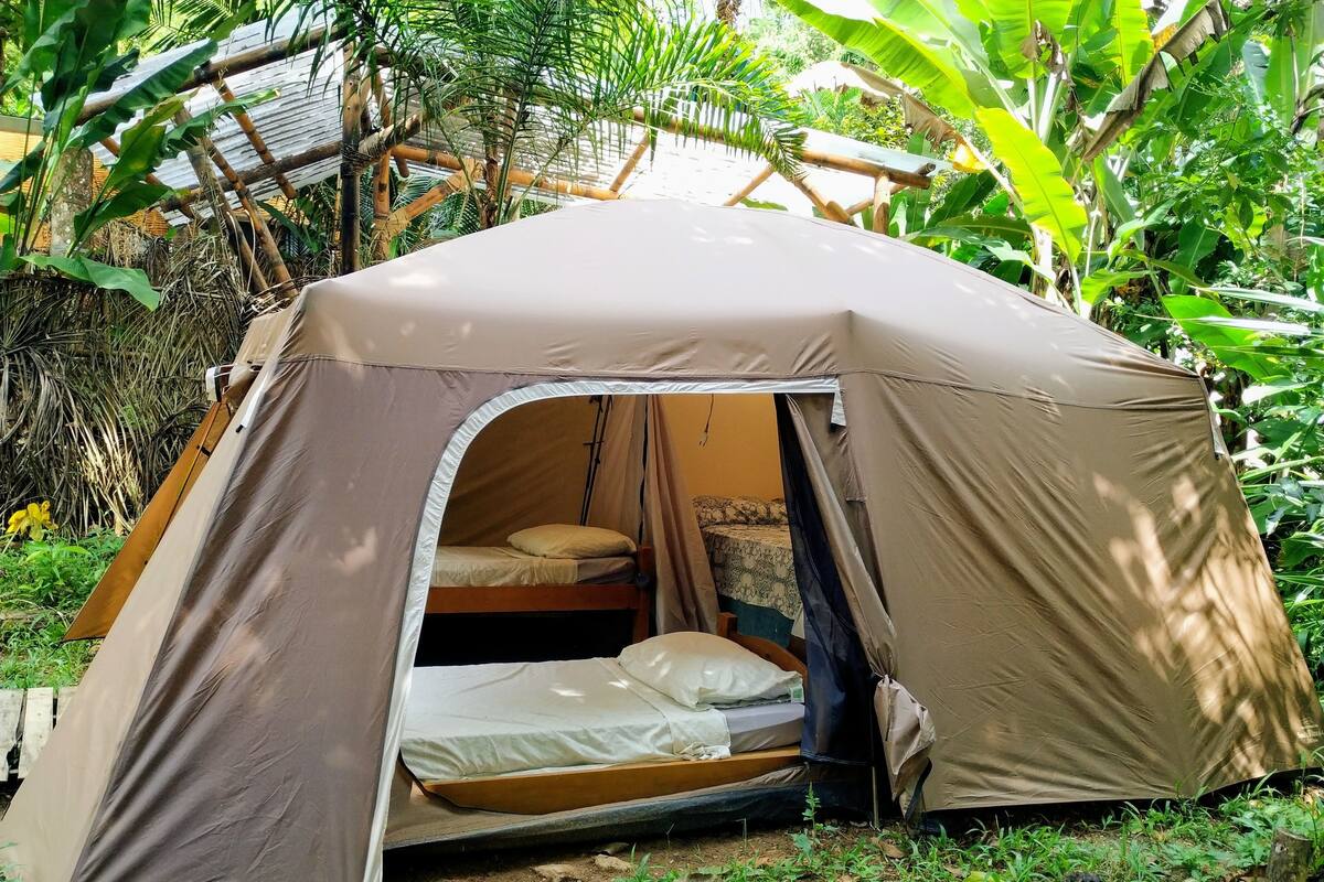 A tent with a single bed inside, surrounded by lush greenery.