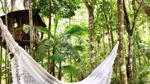 A hammock in a forested area with a wooden structure in the background. - Sitio Simple Life - Hostel (Ubatuba)
