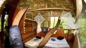 A cozy, wooden room with a bed, mosquito netting, and a fan. - Sitio Simple Life - Hostel (Ubatuba)