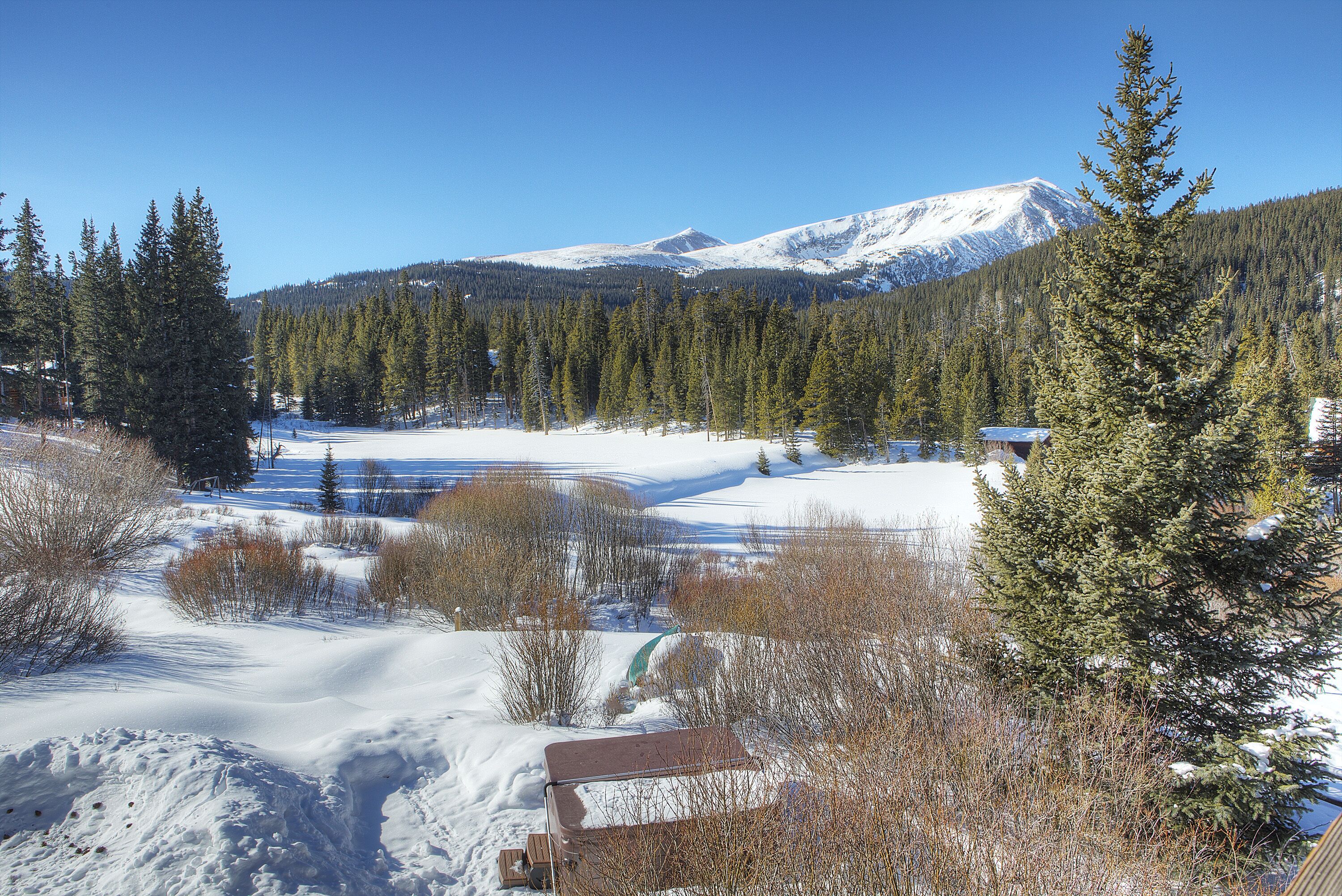 A snowy landscape with a cabin, dense forest, and a mountain in the background.