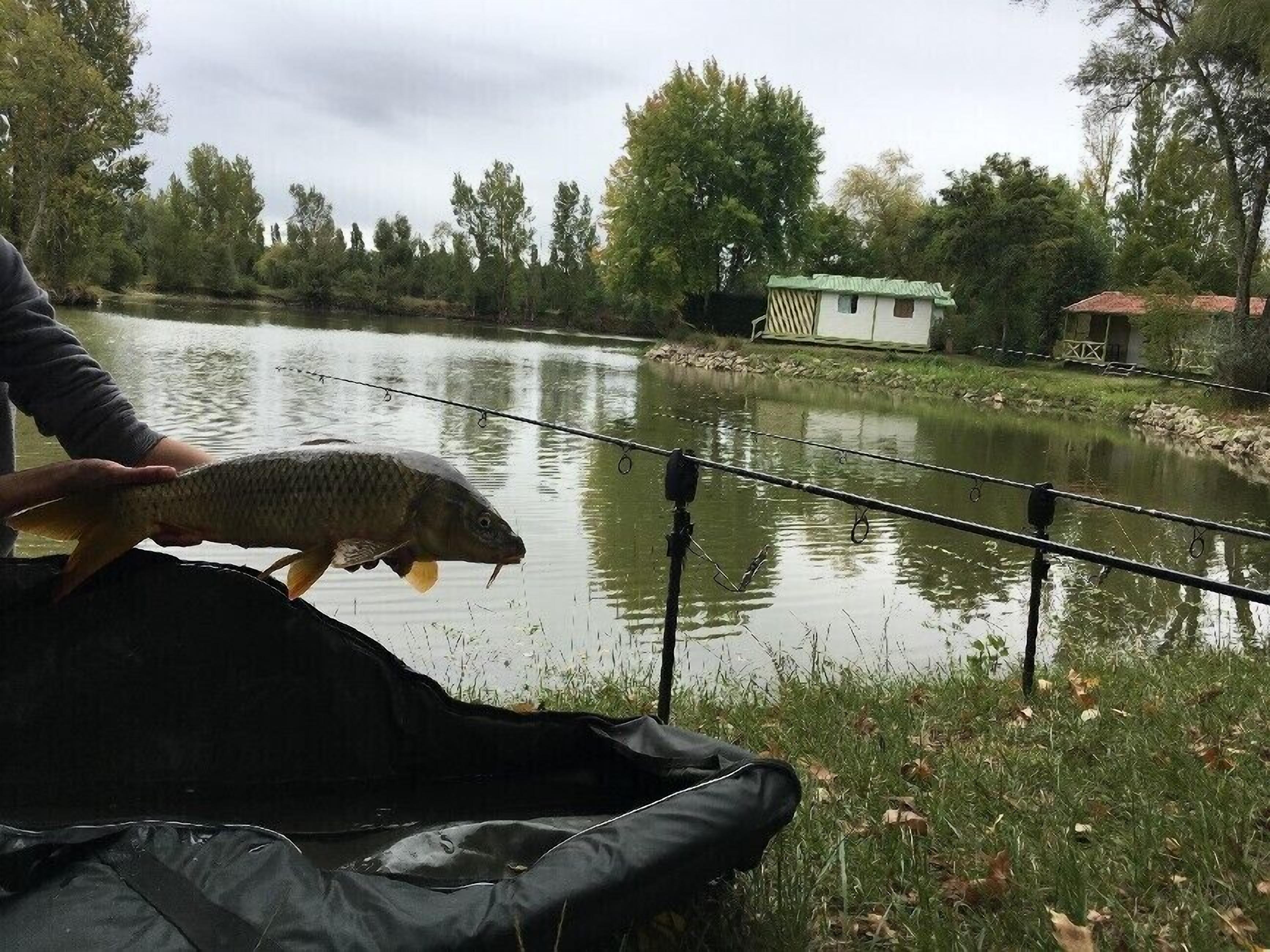 Una persona sosteniendo un pez cerca de un cuerpo de agua, con cañas de pescar y un edificio pequeño al fondo.