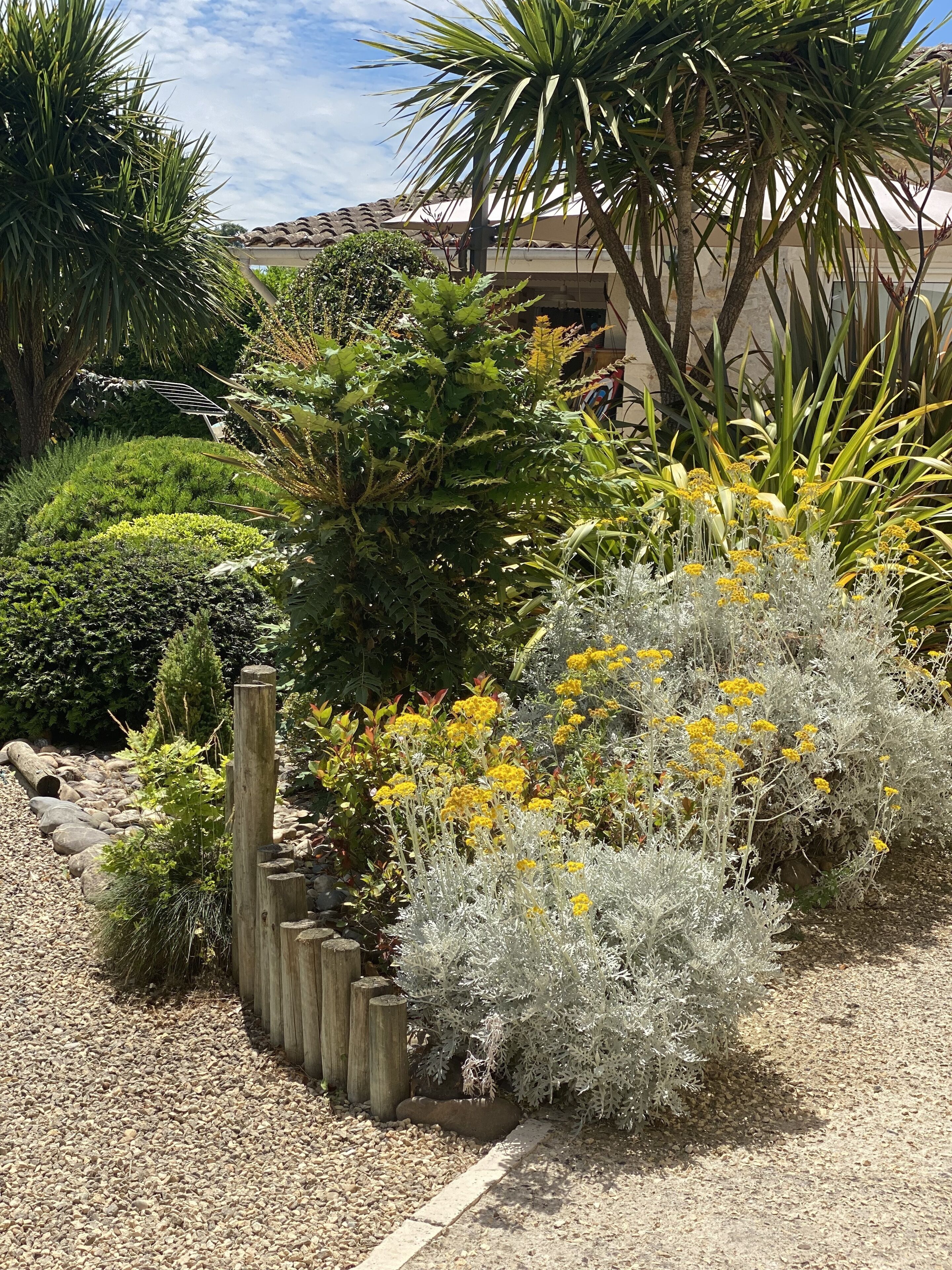 A garden with various plants, a wooden fence, and a building in the background.