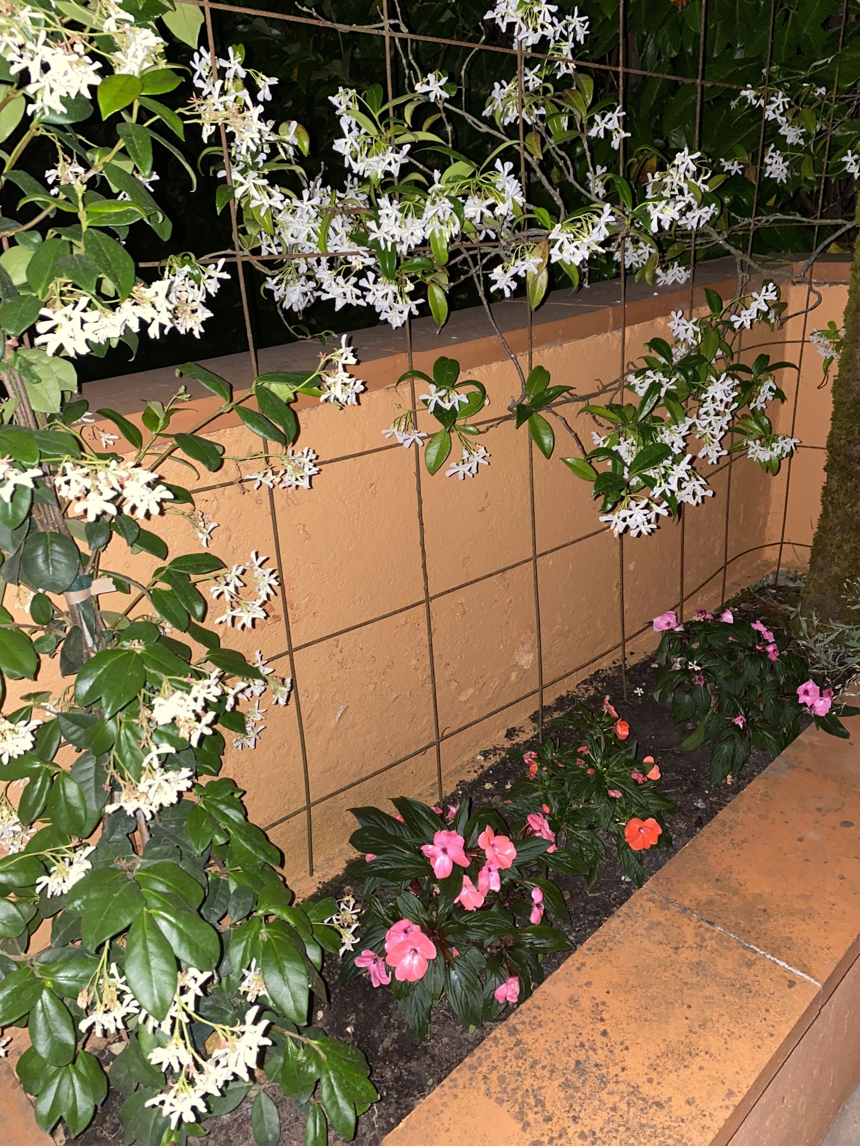 A garden with white flowers and pink flowers along a tiled wall.