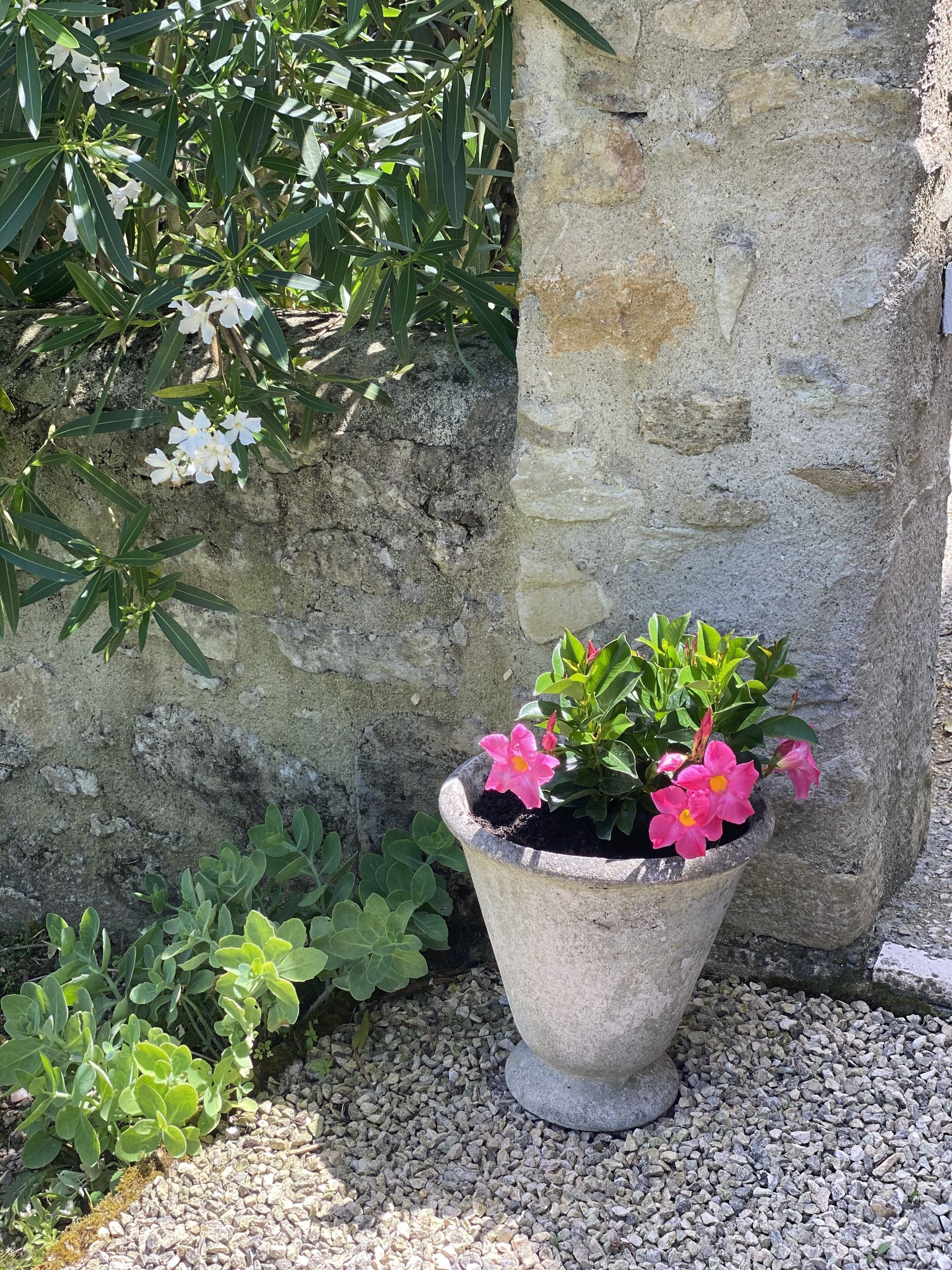 Un pilar de piedra, una planta en maceta con flores rosadas y follaje verde frente a un muro de piedra.