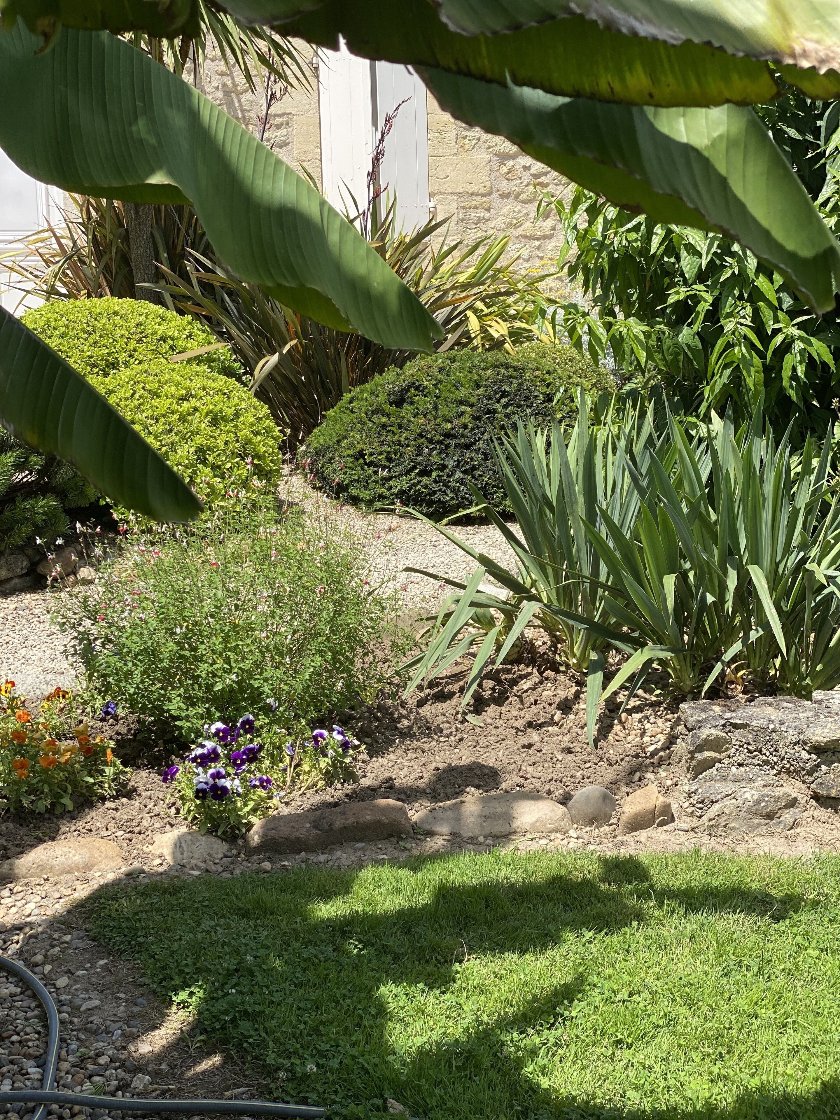 A garden with various plants and flowers, including a neatly trimmed bush and a variety of colorful flowers.