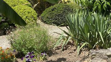 A garden with various plants and flowers, including a neatly trimmed bush and a variety of colorful flowers.