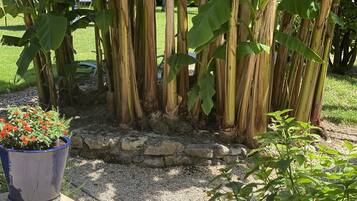 Un jardin avec des bananiers et une plante en pot ornée de fleurs rouges.