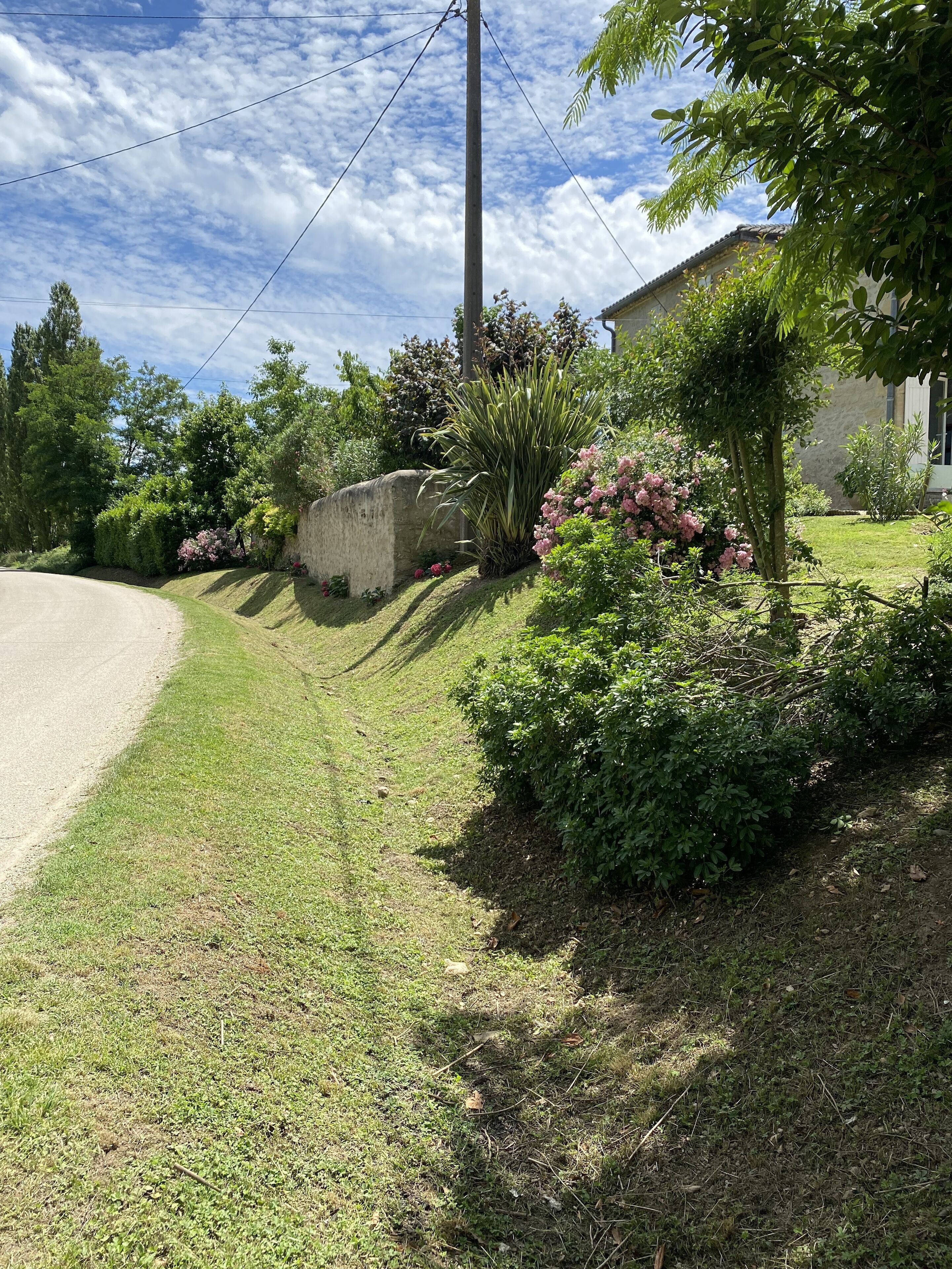 A residential property with a well-maintained lawn, a stone wall, and a variety of flowering shrubs.