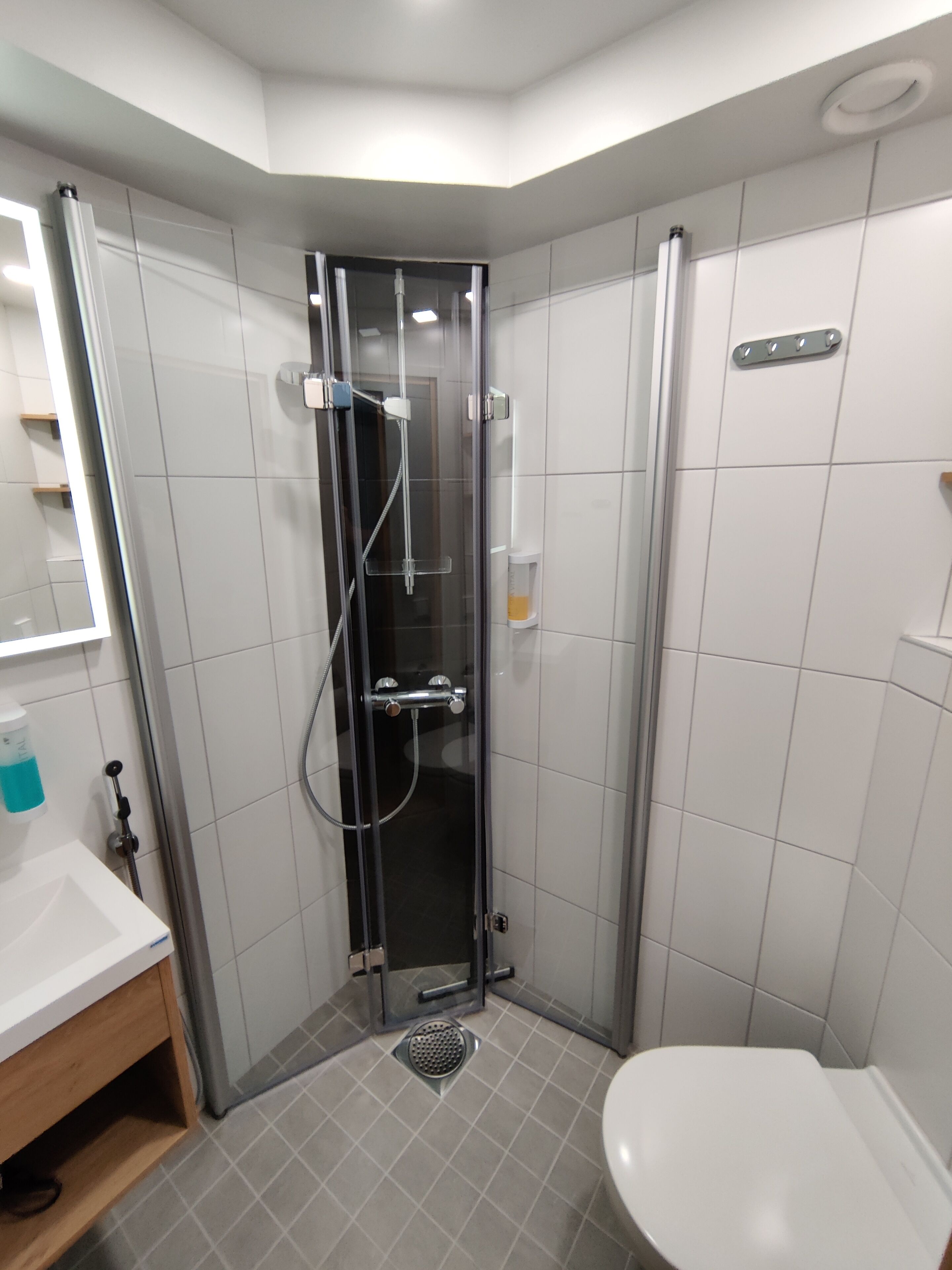 basic single room | bathroom | shower, hair dryer, bidet, towels