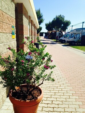 Exterior - Camping Vallecrosia (Camporosso)