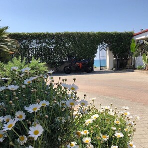 Exterior - Camping Vallecrosia (Camporosso)