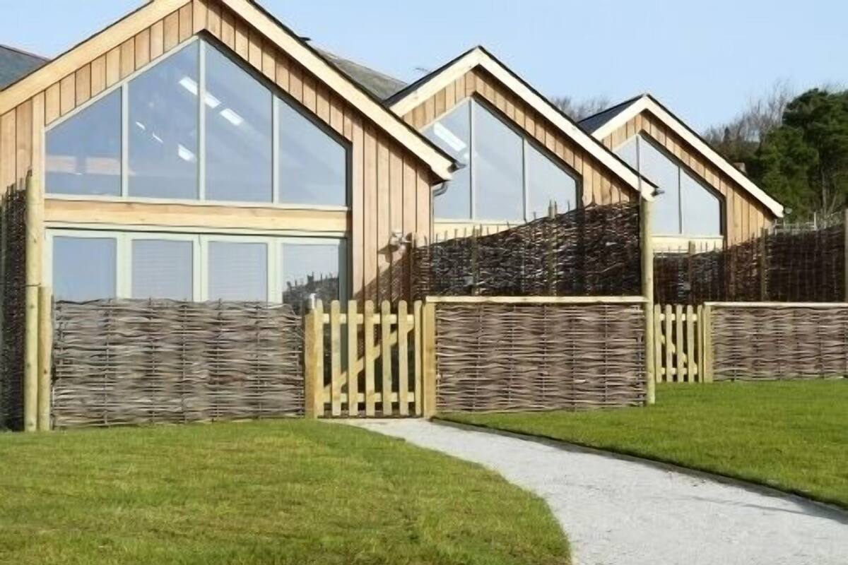 Una hilera de casas modernas con estructura de madera y ventanas amplias, con un camino de grava que conduce a una entrada con portón.