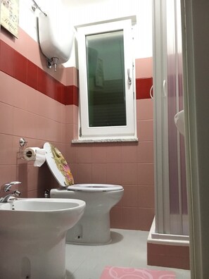 Shower, hair dryer, bidet