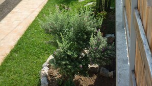 A garden with various plants and a wooden pergola. - Omega House (Guardia Piemontese)