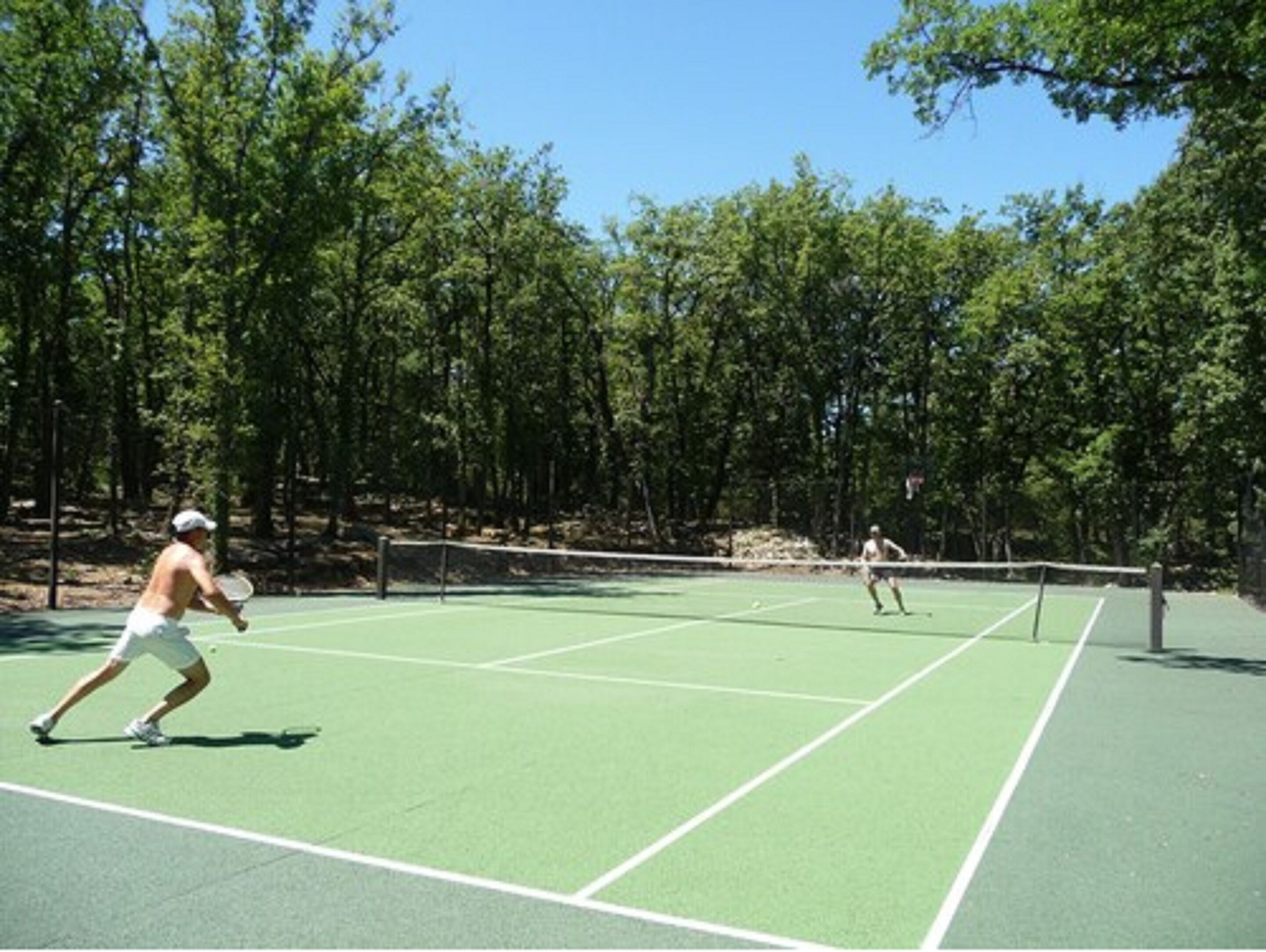 Un court de tennis entouré d’arbres.
