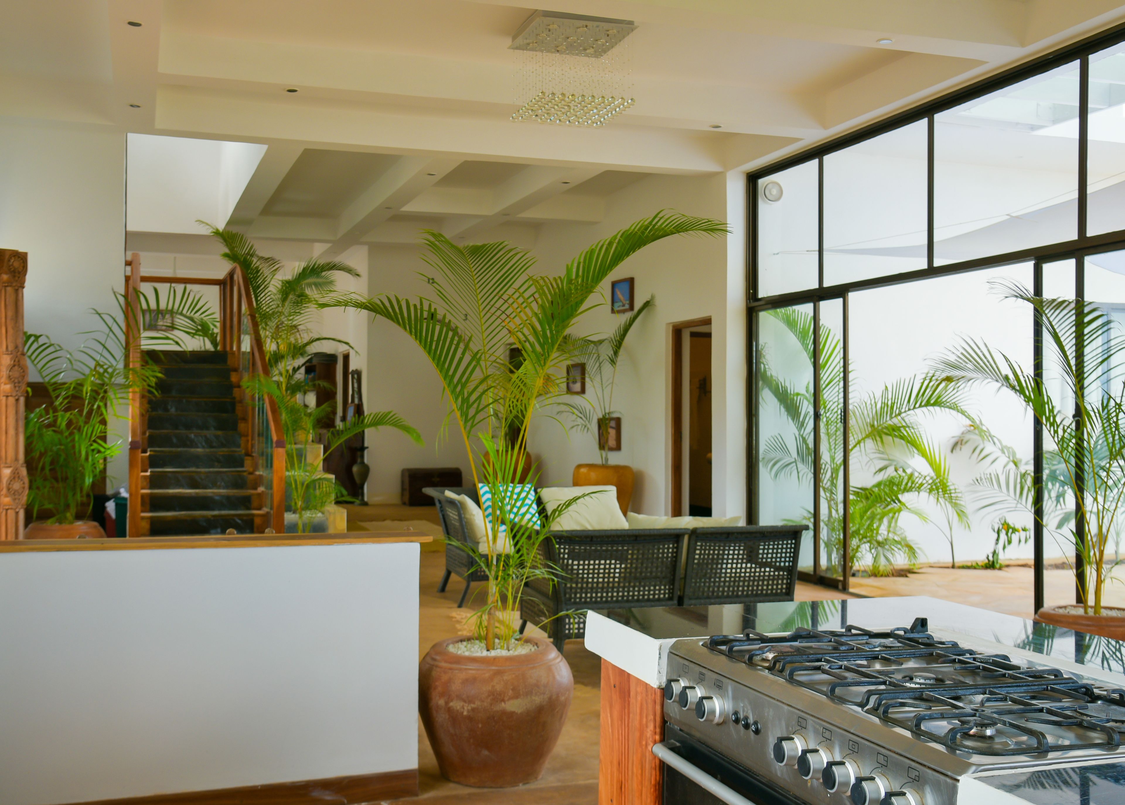 A spacious kitchen with a large window, a gas stove, and several potted plants.