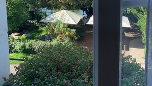 Une vue à travers une fenêtre donnant sur un jardin avec des arbres, un étang et des espaces de détente en plein air, abrités par des parasols.