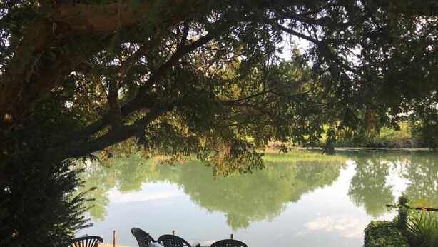 Un cadre paisible au bord d’un lac, avec une table et quatre chaises placées sous un grand arbre, le tout entouré d’une végétation luxuriante.