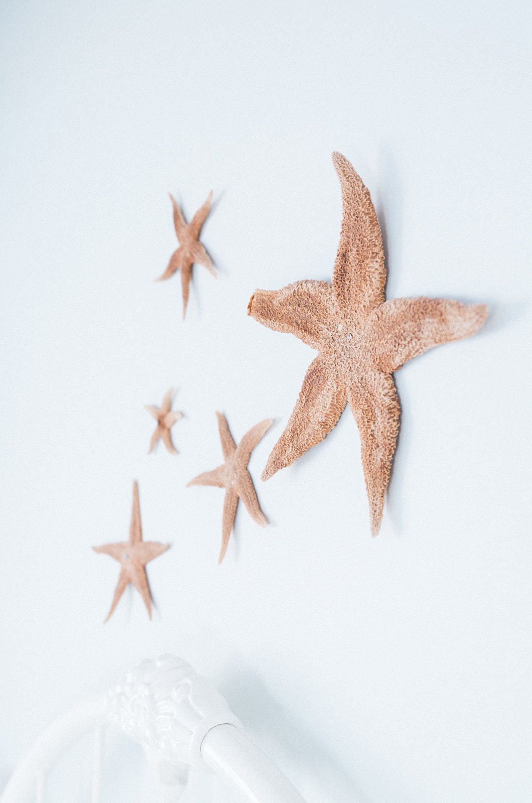 A wall with five starfish decorations of varying sizes.