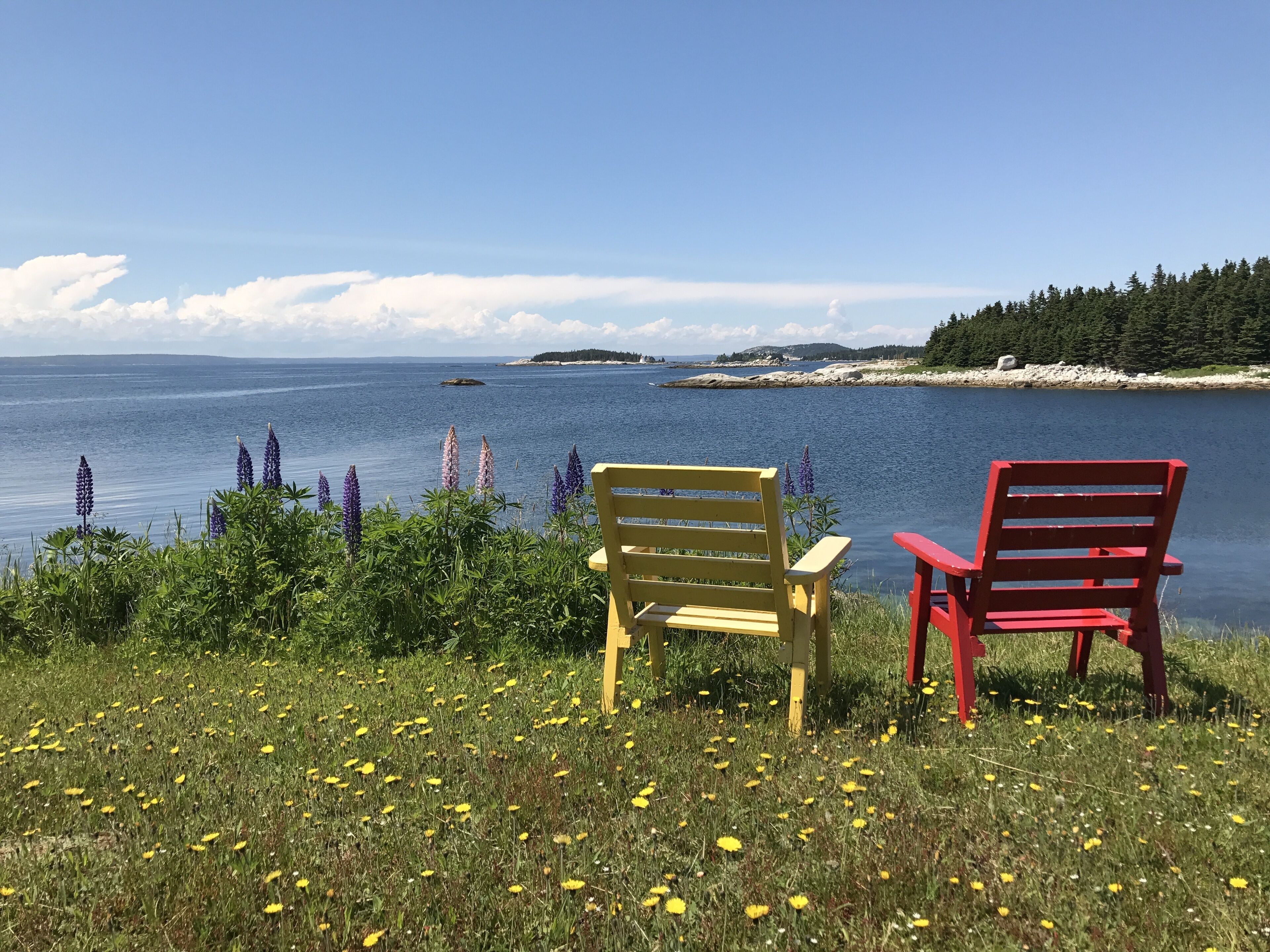 Two chairs facing a lake with a distant island and forested shoreline.