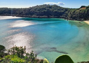 Nær stranden, sort sand, snorkling og fisking