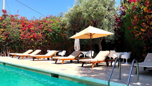 Una piscina con sillas de descanso y una sombrilla, rodeada de exuberante vegetación y plantas en flor.